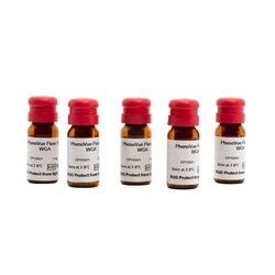 Revvity Health Sciences Inc PhenoVue Fluor 555 - WGA