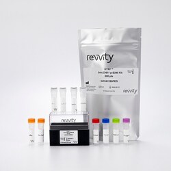 Revvity Health Sciences Inc&nbsp;HTRF Human & Mouse Phospho-CHK-1 (Ser345) Detection Kit, 50,000 Assay Points