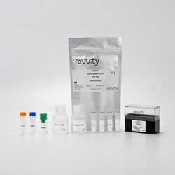 Revvity Health Sciences Inc&nbsp;HTRF Human & Mouse Ataxin 2 Detection Kit, 10,000 Assay Points