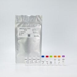 Revvity Health Sciences Inc HTRF Human & Mouse Phospho-PLK1 (Thr210) Detection Kit, 50,000 Assay Points