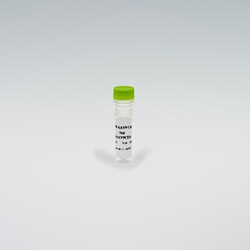 Revvity Health Sciences Inc HTRF AAV9 Detection Kit Standard