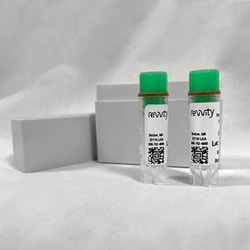 Revvity Health Sciences Inc IVISbrite PC3 Red F-luc-GFP Bioluminescent Tumor Cell line (Bioware Brite)
