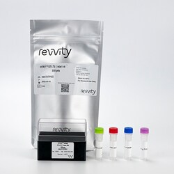 Revvity Health Sciences Inc&nbsp;HTRF Human and mouse Total STAT5 Detection Kit, 500 Assay Points
