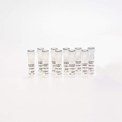 Revvity Health Sciences Inc PhenoVue Cal-590 AM, Calcium Indicator