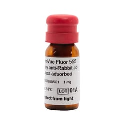 Revvity Health Sciences Inc&nbsp;PhenoVue Fluor 555 - Donkey Anti-Rabbit Antibody Cross-Adsorbed