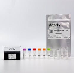 Revvity Health Sciences Inc&nbsp;HTRF Human Phospho-DDR1 (Pan-Tyr) Detection Kit, 10,000 Assay Points