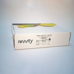 Revvity Health Sciences Inc&nbsp;Western Lightning ONE Pico, Chemiluminescent Substrate (250 mL)