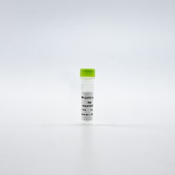 Revvity Health Sciences Inc&nbsp;HTRF AAV2 Detection Kit Standard