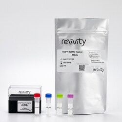 Revvity Health Sciences Inc&nbsp;HTRF Human Total ATF4 Detection Kit, 500 Assay Points