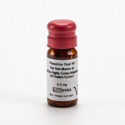 Revvity Health Sciences Inc&nbsp;PhenoVue Fluor 647 - Rat Anti-Mouse Antibody IgG2a Highly Cross-Adsorbed