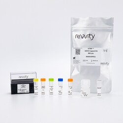 Revvity Health Sciences Inc HTRF AAV5 Detection Kit, 10,000 Assay Points