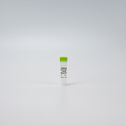 Revvity Health Sciences Inc&nbsp;HTRF Human & Mouse Total HDAC5 Detection Kit, Control Lysate