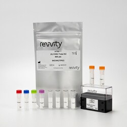 Revvity Health Sciences Inc&nbsp;HTRF Human Total CHK-2 Detection Kit, 50,000 Assay Points