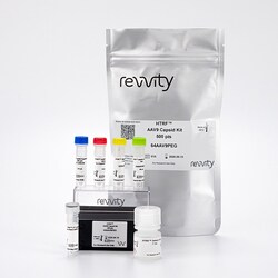 Revvity Health Sciences Inc HTRF AAV9 Detection Kit, 10,000 Assay Points
