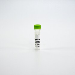 Revvity Health Sciences Inc HTRF Human Total EGFR L858R Detection Kit, Control Lysate