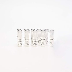 Revvity Health Sciences Inc&nbsp;PhenoVue Cal-520 AM Bright, Calcium Indicator