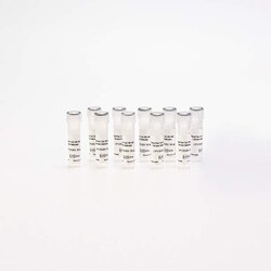 Revvity Health Sciences Inc&nbsp;PhenoVue Cal-520 AM, Calcium Indicator