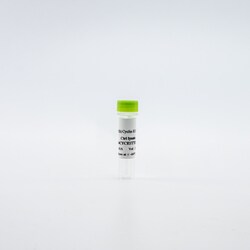 Revvity Health Sciences Inc HTRF Human Total Cyclin E1 Detection Kit, Control Lysate