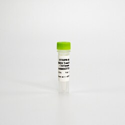 Revvity Health Sciences Inc HTRF Human Total BRD2 Detection Kit, Control Lysate