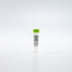 Revvity Health Sciences Inc HTRF Human & Mouse Ataxin 2 Detection Kit Standard