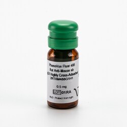 Revvity Health Sciences Inc&nbsp;PhenoVue Fluor 488 - Rat Anti-Mouse Antibody IgG1 Highly Cross-Adsorbed