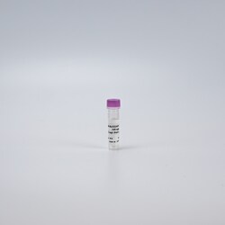 Revvity Health Sciences Inc&nbsp;HTRF KEAP1 Red Ligand