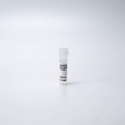 Revvity Health Sciences Inc&nbsp;PhenoVue 505 Live Cell Caspase-3/7 Activity Stain