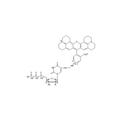 Revvity Health Sciences Inc&nbsp;Texas Red-5-dUTP