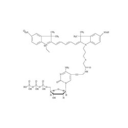 Revvity Health Sciences Inc Cyanine 5-dCTP, 25 nmol