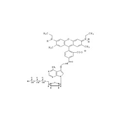 Revvity Health Sciences Inc&nbsp;R6G-ddATP