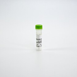Revvity Health Sciences Inc&nbsp;HTRF Human Total EGFR DEL19 Detection Kit, Control Lysate