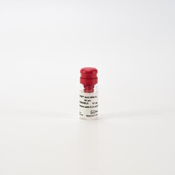 Revvity Health Sciences Inc HTRF Anti-VHH Eu-Antibody, 5,000 Assay Points