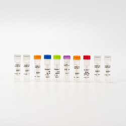 Revvity Health Sciences Inc&nbsp;HTRF Human & Mouse Total Wee1 Detection Kit, 50,000 Assay Points