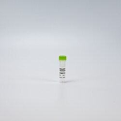 Revvity Health Sciences Inc HTRF Human & Mouse Total p300 Detection Kit, Control Lysate
