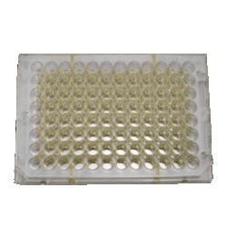 Revvity Health Sciences Inc&nbsp;DELFIA anti-rabbit-coated yellow plate, 96-well, 10 plates