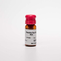 Revvity Health Sciences Inc PhenoVue Fluor 568 - WGA