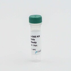 Revvity Health Sciences Inc&nbsp;HTRF Human & Mouse Phospho-Ubiquitin (Ser65) Detection Kit, Control Lysate