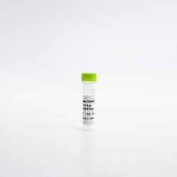 Revvity Health Sciences Inc HTRF Human & Mouse Total TDP-43 Detection Kit, Control Lysate