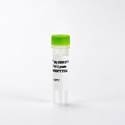 Revvity Health Sciences Inc&nbsp;HTRF Human Total HSP27 Detection Kit, Control Lysate