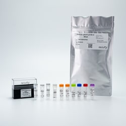 Revvity Health Sciences Inc HTRF Phospho-Cyclin B1 (Ser126) Detection Kit, 10,000 Assay Points