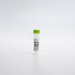 Revvity Health Sciences Inc&nbsp;HTRF Human XBP1s Detection Kit, Control Lysate