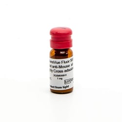 Revvity Health Sciences Inc&nbsp;PhenoVue Fluor 568 - Goat Anti-Mouse Antibody Highly Cross-Adsorbed