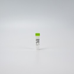Revvity Health Sciences Inc&nbsp;HTRF Human & Mouse Phospho-HDAC5 (Ser259) Detection Kit, Control Lysate