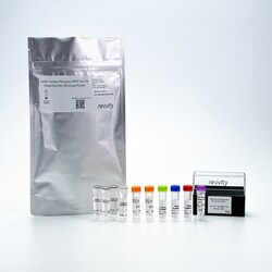 Revvity Health Sciences Inc HTRF Phospho-VAV1 (Tyr174) Detection Kit, 10,000 Assay Points
