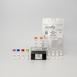 Revvity Health Sciences Inc HTRF Human Total SALL4 Detection Kit, 50,000 Assay Points