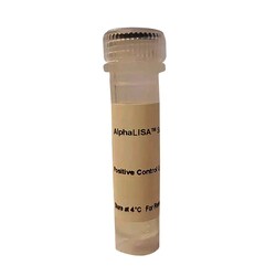 Revvity Health Sciences Inc AlphaLISA <em>SureFire Ultra</em> Human & Mouse Phospho-c-Jun (Ser63) Detection Kit, Control Lysate