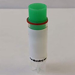 Revvity Health Sciences Inc cAMPZen Frozen Human Adrenergic Î±<sub>2A</sub> Cell Line, CHO-K1 Cells