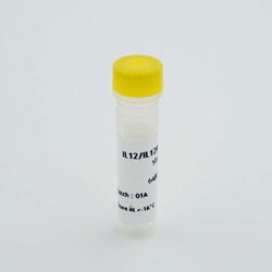 Revvity Health Sciences Inc HTRF Human IL-12/IL-12RÎ²1 Standard, 1 Vial