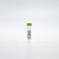 Revvity Health Sciences Inc&nbsp;HTRF AAV1 Detection Kit Standard