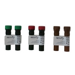 Revvity Health Sciences Inc&nbsp;Cellaca PLX, anti-human CD3 KB520/CD8 PE Viability Kit, 100 Tests